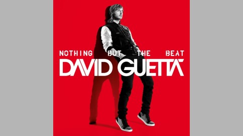 David Guetta -  "Nothing But The Beat"